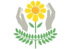 Federação Nacional divulga regras para uso da marca APAE nas eleições municipais