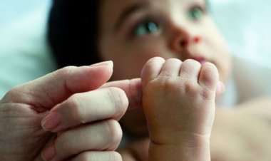 Novo dispositivo do Estatuto da Criança e do Adolescente