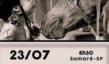 Equoterapia será tema de palestra da FEAPAES-SP