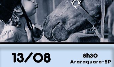 Federação promove palestra sobre Equoterapia nesta quarta-feira