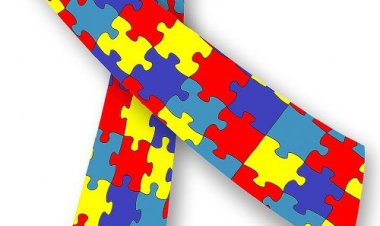 Procuradoria divulga parecer sobre o convênio destinado a autistas