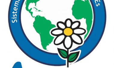 FEAPAES-SP aumenta número de vagas para treinamento da ARGUS