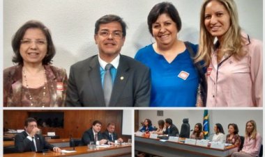 Presidente da FEAPAES-SP participa de audiência pública no Senado