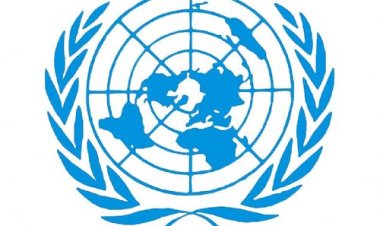 Fundo das Nações Unidas recebe propostas até 31 de dezembro