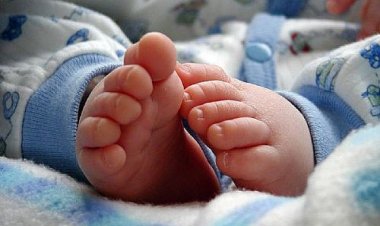 Ministério da Saúde lança pesquisa sobre serviços de reabilitação para bebês com microcefalia