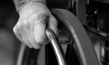 Governo institui Comitê do Cadastro Nacional de Inclusão da Pessoa com Deficiência