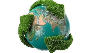 Elo Consultoria Social vai premiar organização de São Paulo com 50 mil reais e um dia de mutirão