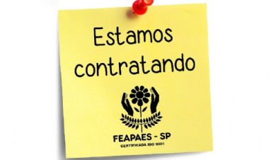 FEAPAES-SP seleciona estagiário para área jurídica