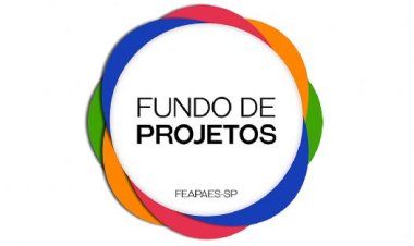 FEAPAES-SP cria Fundo de Projetos para financiar iniciativas das APAEs