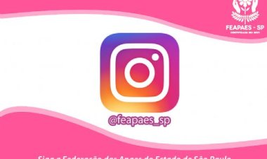 FEAPAES-SP instagram OFICIAL