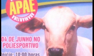 APAE de Adamantina promove leilão de gado