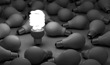 APAES serão beneficiadas com 475 lâmpadas de LED do Projeto Eficiência Solidária da EDP