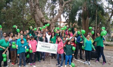 Campanha Setembro Verde irá mobilizar milhares de pessoas em todo o país