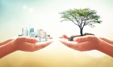 EDP disponibiliza para APAES opção de envio de conta por e-mail