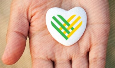 Confira a entrevista de Asha Curran, uma das criadoras do #diadedoar