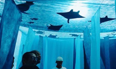 APAE  de Boituva realiza instalação de arte imersão azul