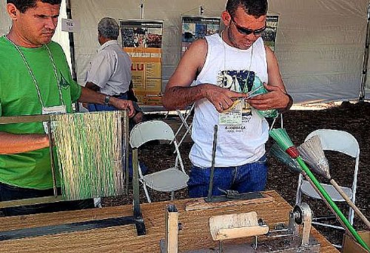 Reportagem especial mostra dificuldades dos deficientes no mercado de trabalho