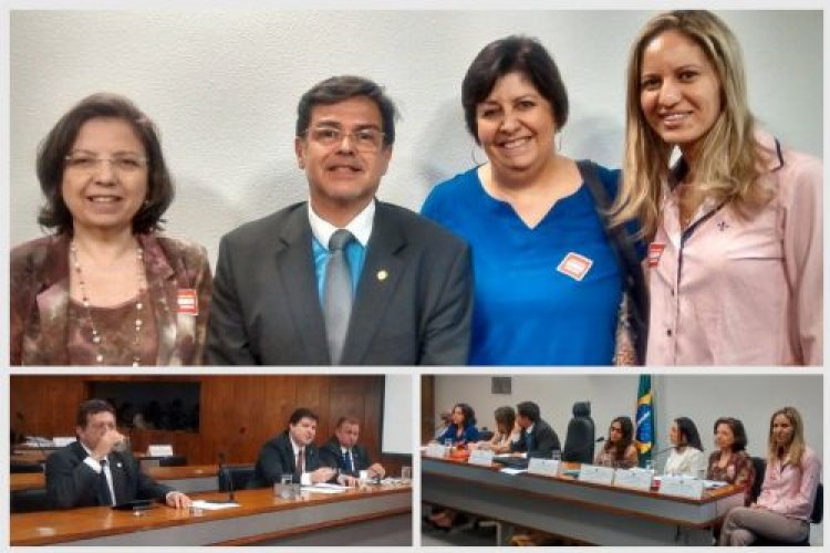 Presidente da FEAPAES-SP participa de audiência pública no Senado