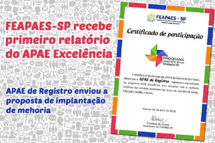 FEAPAES-SP recebe primeiro relatório do APAE Excelência