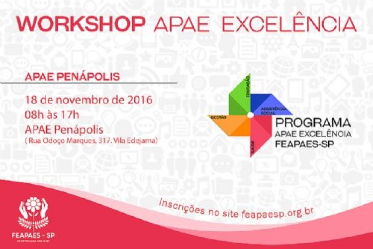 FEAPAES-SP promove mais uma edição do Workshop APAE Excelência