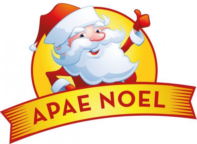 Fenapaes divulga vencedores do APAE Noel 2016