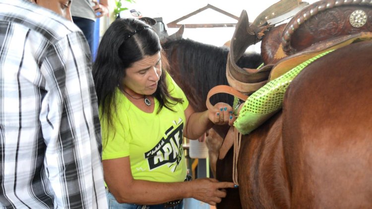 Equoterapia na APAE de Palmital