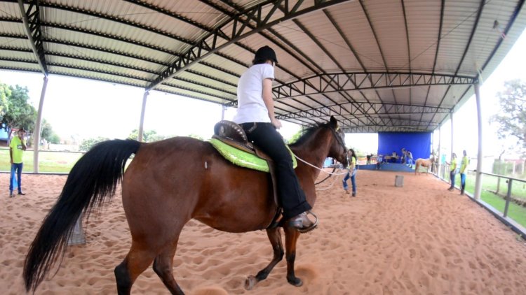 Equoterapia na APAE de Palmital