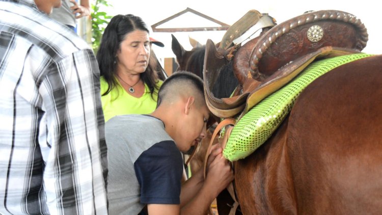 Equoterapia na APAE de Palmital