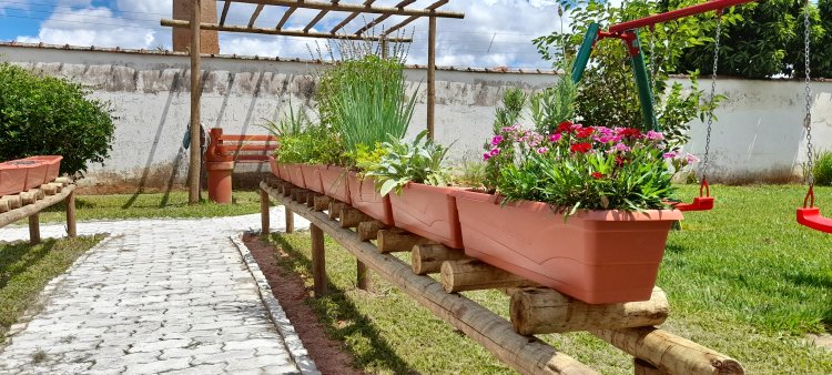 APAE de Tambaú e seu tão sonhado jardim sensorial