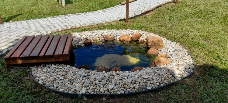 APAE de Tambaú e seu tão sonhado jardim sensorial