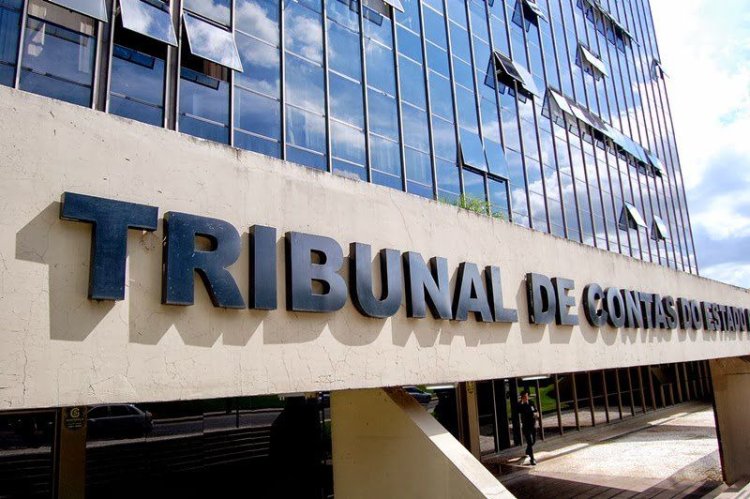 FEAPAES pede revisão em Instrução normativa do TCE que trata das parcerias entre OSC e poder público