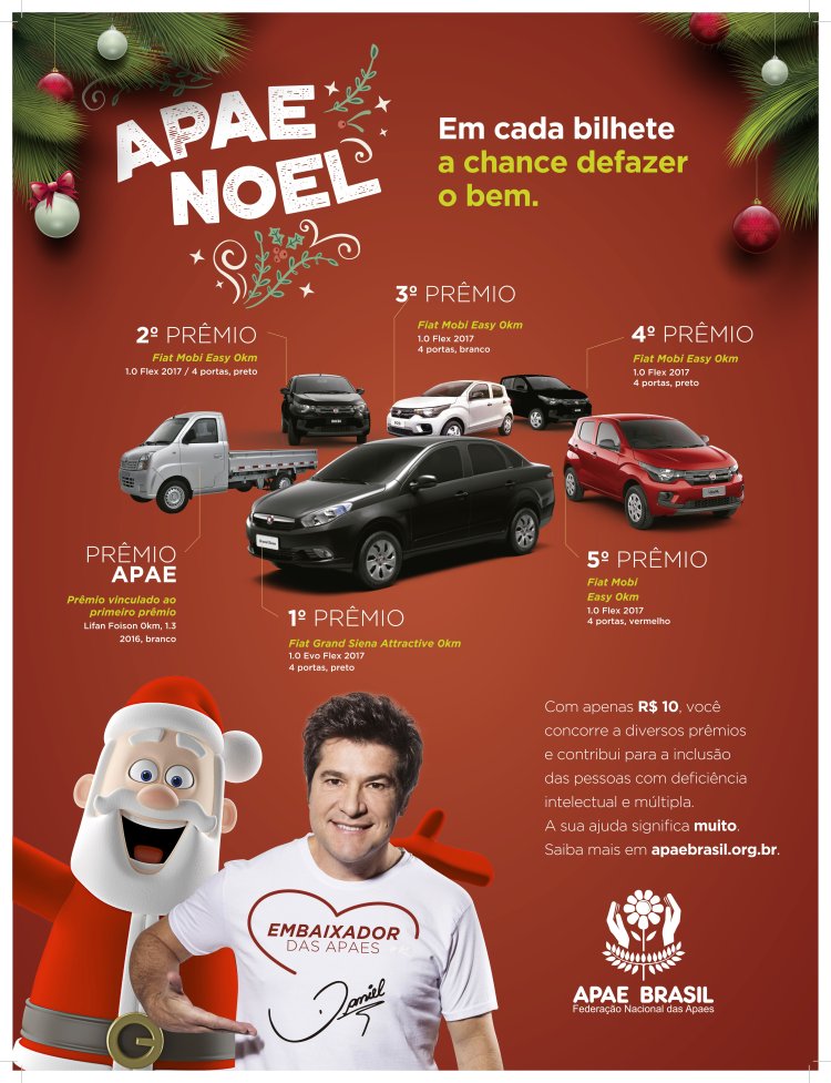 Participe da campanha APAE Noel