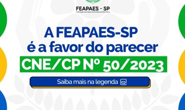 Parecer CNE/CP nº 50/2023