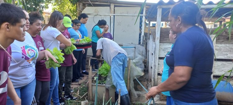 Projeto Semear na APAE de Iperó