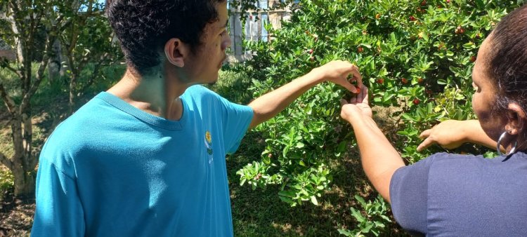 Projeto Semear na APAE de Iperó