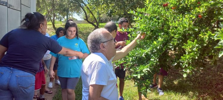 Projeto Semear na APAE de Iperó