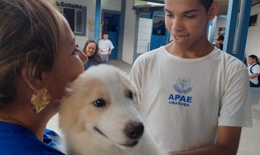 Projeto Cão Terapia: Transformando Vidas Através da Terapia Assistida com Cães
