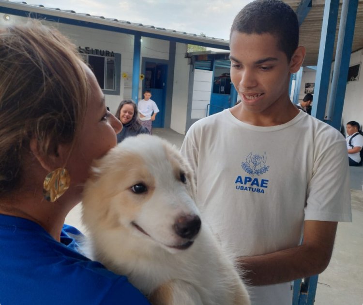 Projeto Cão Terapia: Transformando Vidas Através da Terapia Assistida com Cães