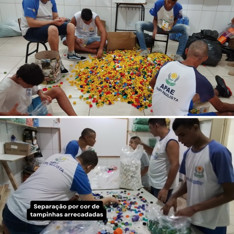 Dia Mundial do Meio Ambiente na APAE de Tupi Paulista