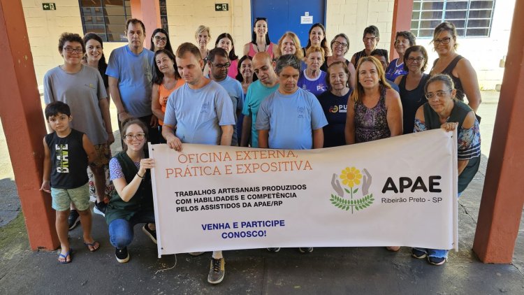 Oficinas externas da APAE de Ribeirão Preto: Articulação com a rede socioassistencial