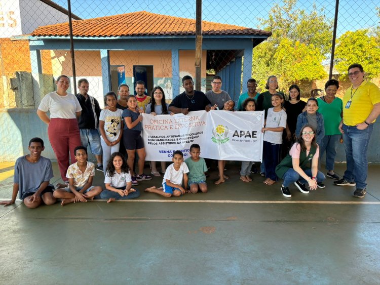 Oficinas externas da APAE de Ribeirão Preto: Articulação com a rede socioassistencial