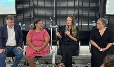 FEAPAES/SP participa de seminário realizado pela Secretaria dos Direitos das Pessoas com Deficiência