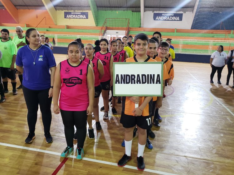 VI Festival Esportivo da APAE Andradina