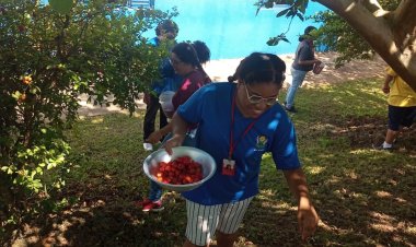 Projeto Horta na APAE de Iperó