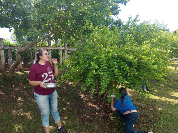 Projeto Horta na APAE de Iperó