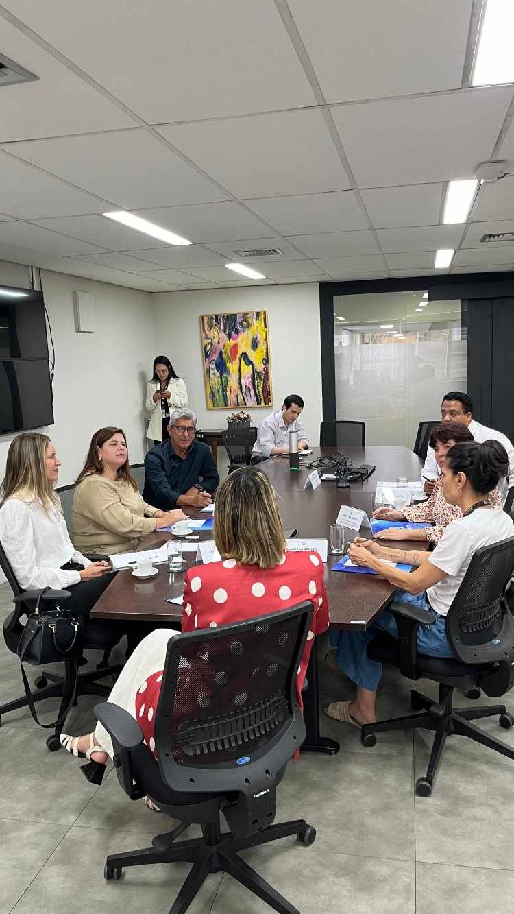 FEAPAES-SP Realiza Importante Encontro com a Secretária de Desenvolvimento Social do Estado de São Paulo