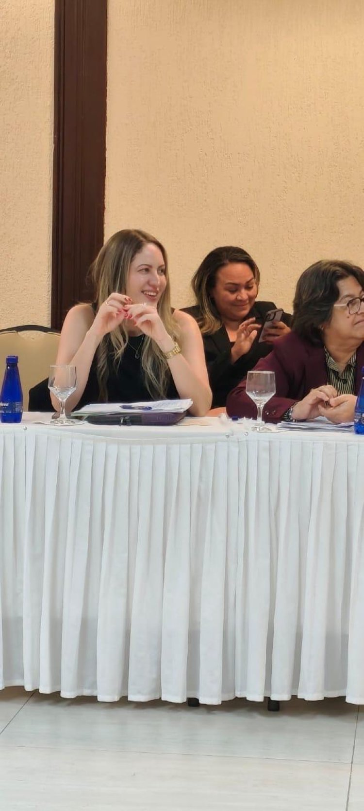 FEAPAES-SP marca presença em importante reunião na APAE Brasil