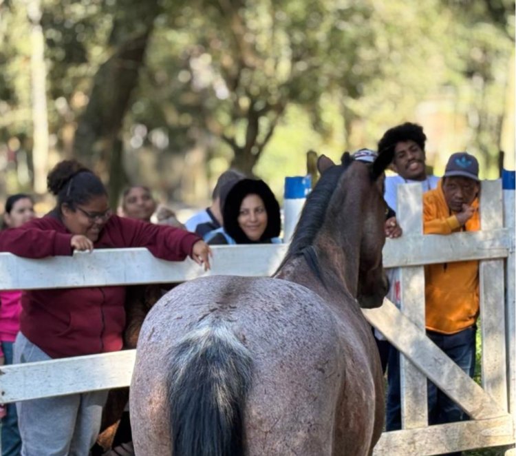 APAE de Mogi das Cruzes recebe visita de atendidos da ASETE para vivência no Núcleo Rural e Centro de Equoterapia