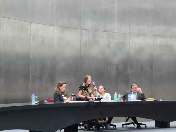 FEAPAES-SP marca presença nos 10 anos da REBRATES com representação institucional no seminário sobre a LBI