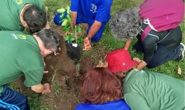 Núcleo Rural e Centro de Equoterapia da APAE de Mogi comemora 29 anos com plantio de árvores frutíferas